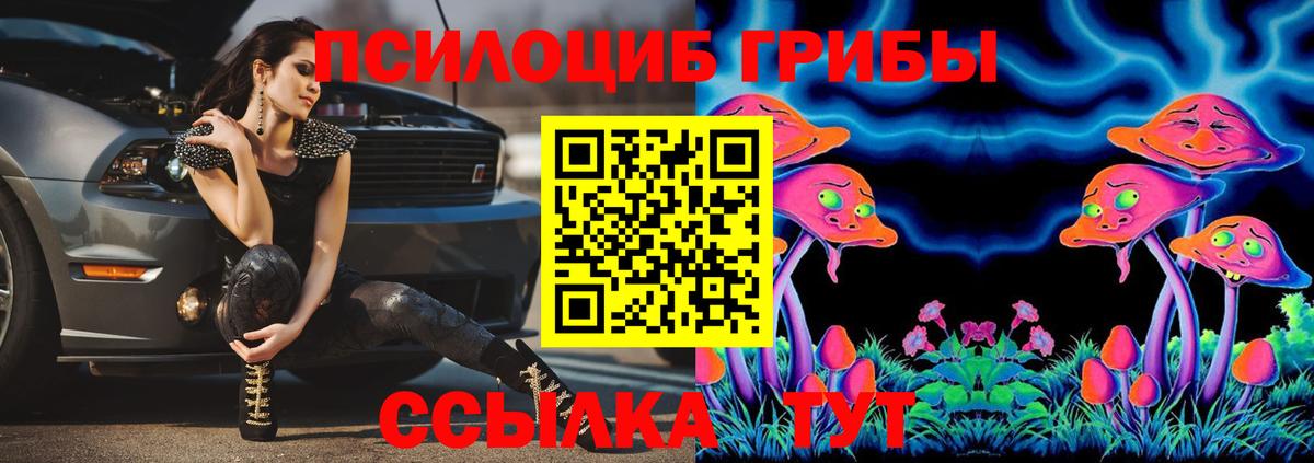 Псилоцибиновые грибы Psilocybine cubensis Каменск-Уральский